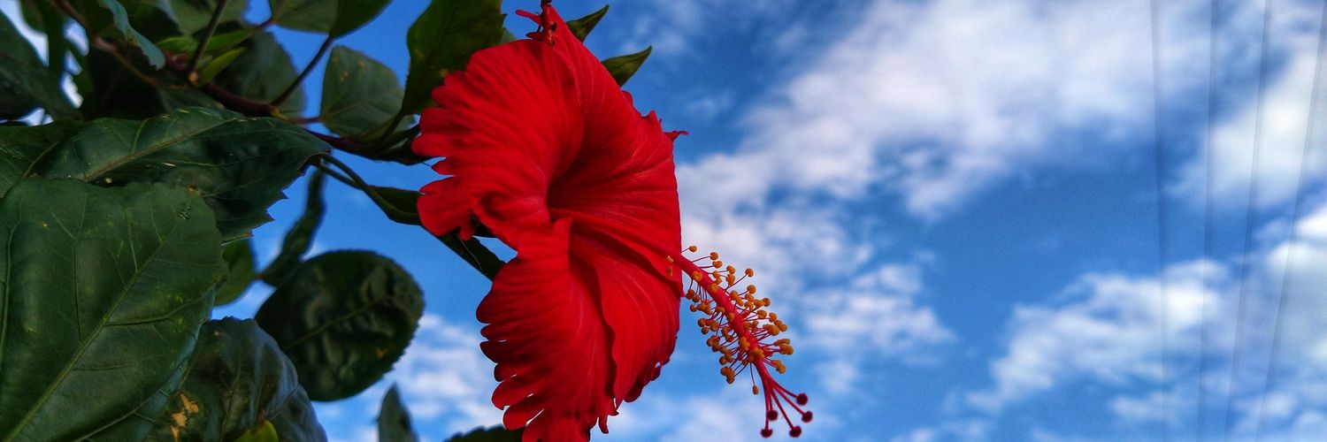 muthukrishnanas's profile banner image
