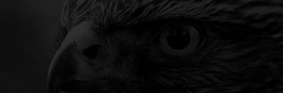 zerdeci's profile banner image