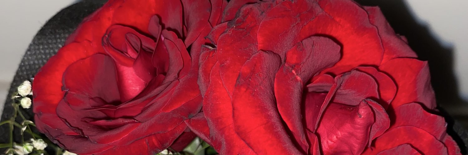 Nasomaa_'s profile banner image