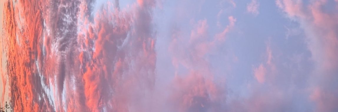 sopuscatus2's profile banner image