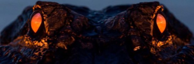 Skiller's banner