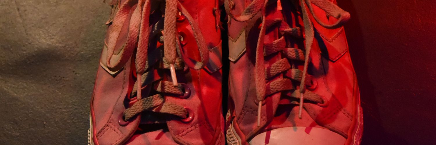 _carolguarnieri's profile banner image
