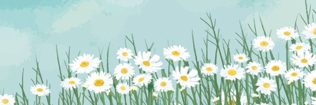 vkgm97's profile banner image