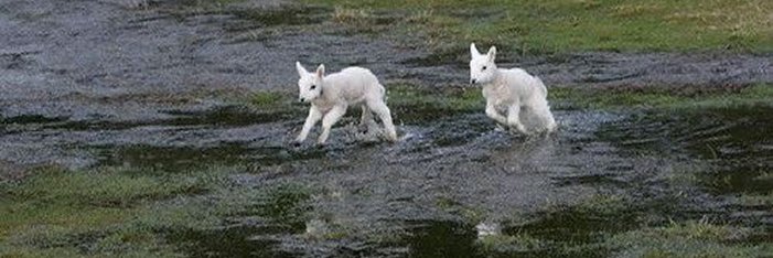 🚂 kit expresso banner