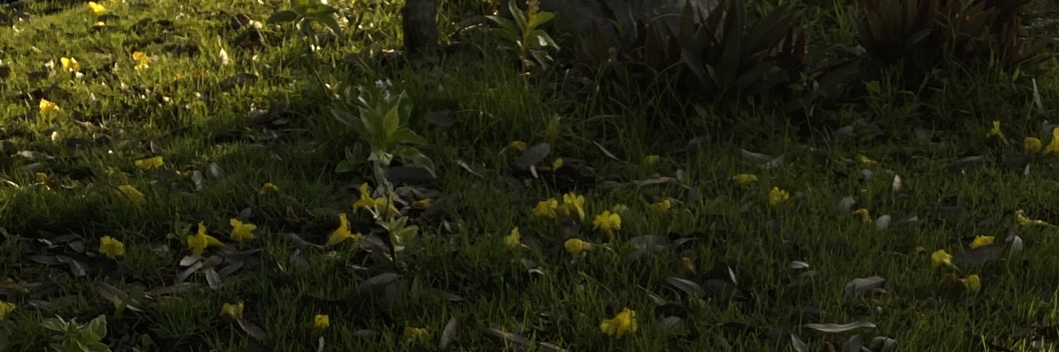 jareauk's profile banner image