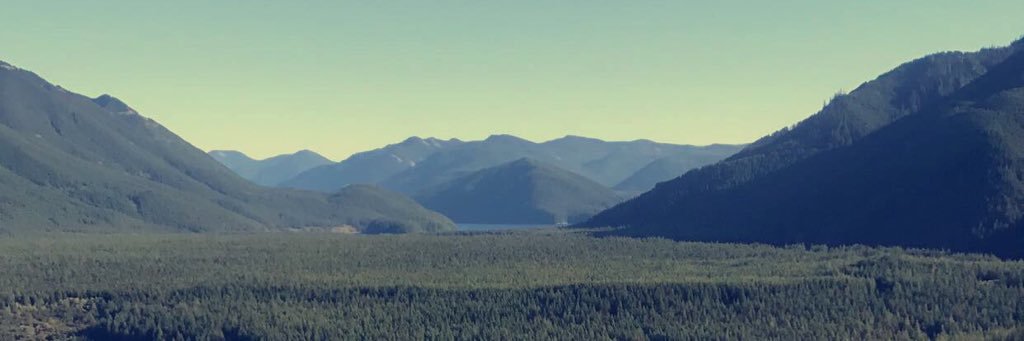 stashaproblems's profile banner image