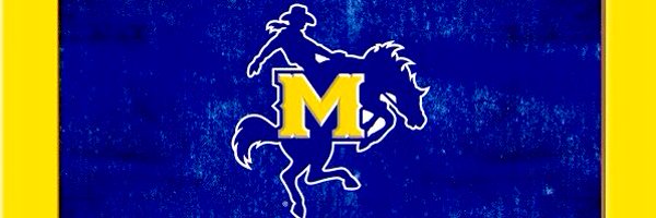 SamiuelaLiu Profile Banner