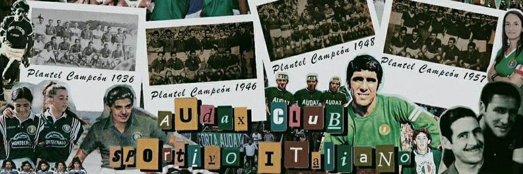 Hincha de Audax banner