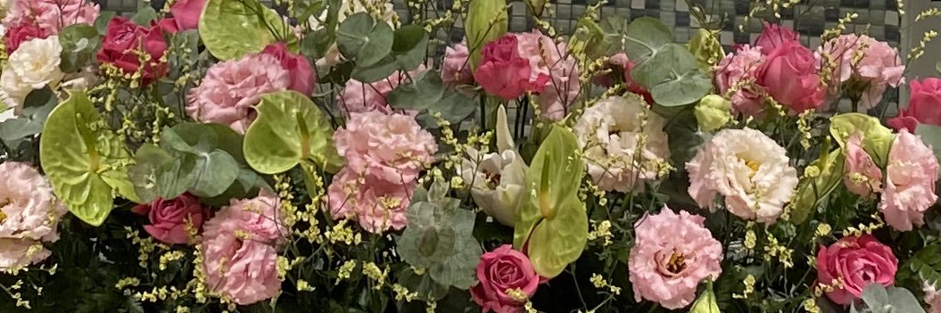 aiai_239's profile banner image