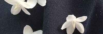 zackyalth's profile banner image