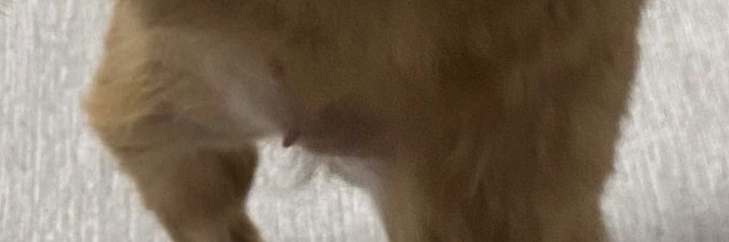 DPRNlAN's profile banner image