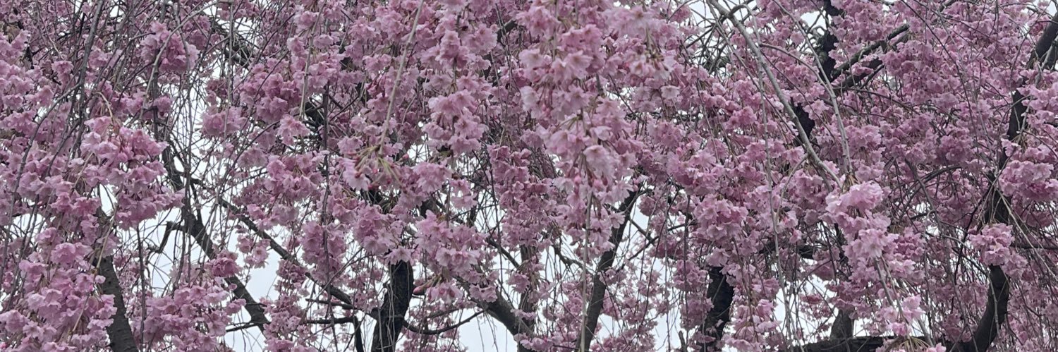 Ella Leone Brunick banner