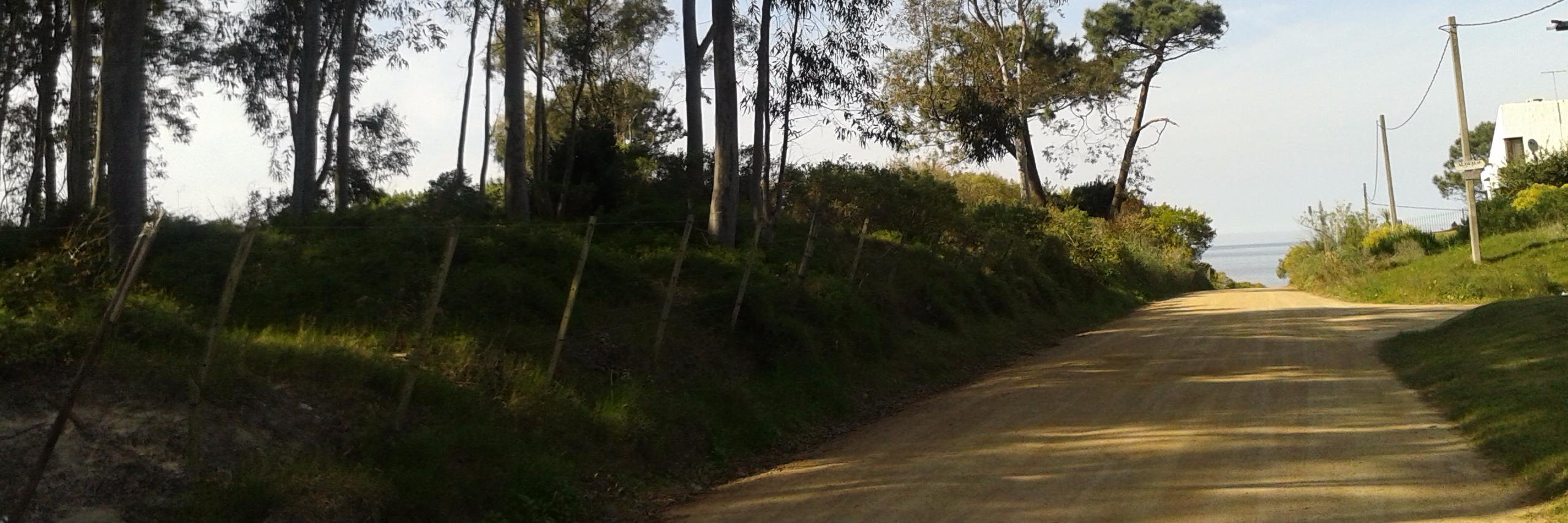 Carlos De Muras banner