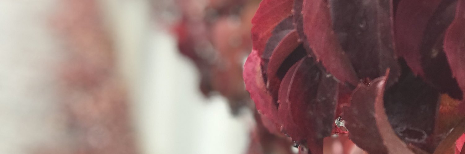 emresolt's profile banner image