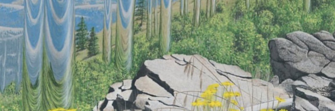 trapsbunkin's profile banner image