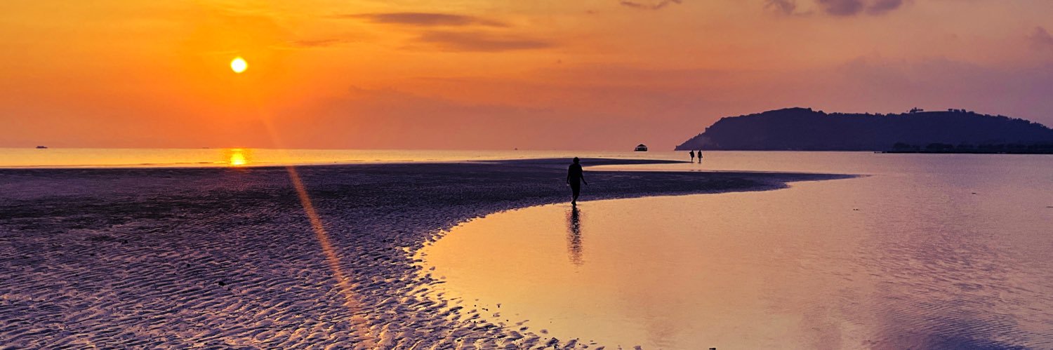 🌴Tropical Chilly🌴 banner