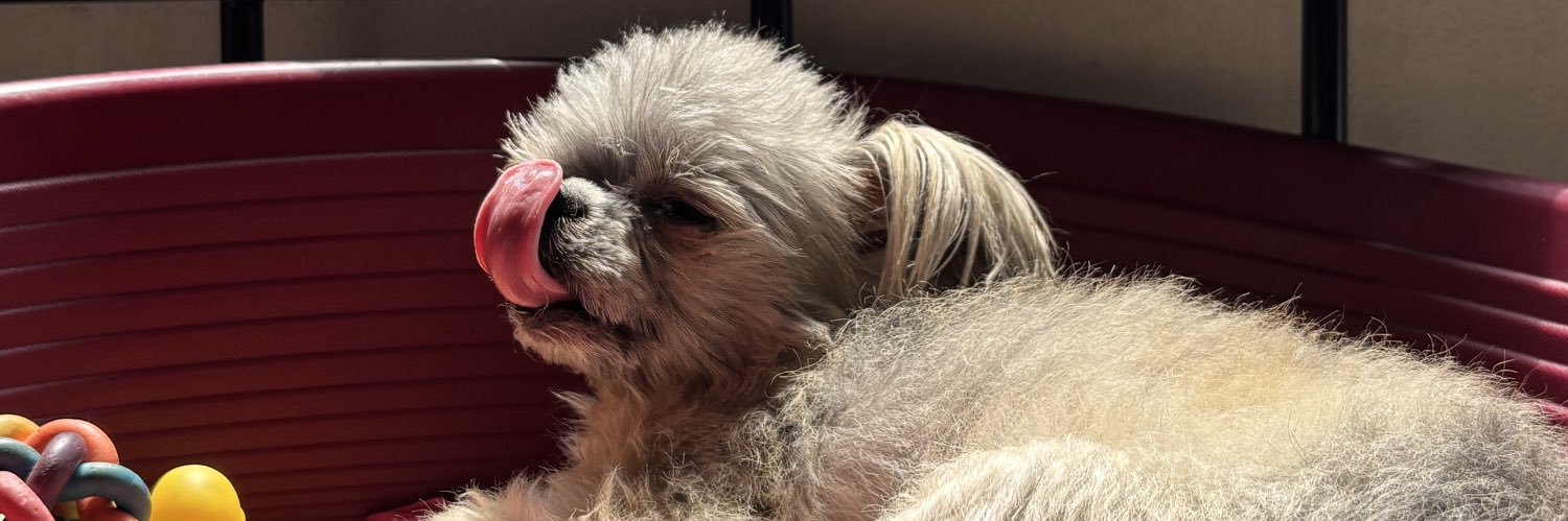 cooper 🧌 banner