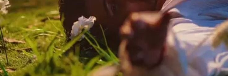 drdz_tanu's profile banner image
