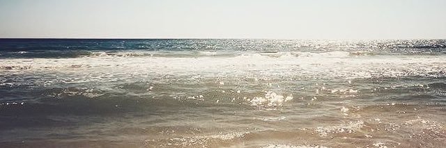 mousymazzie's profile banner image