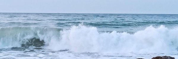 trinim57 Profile Banner