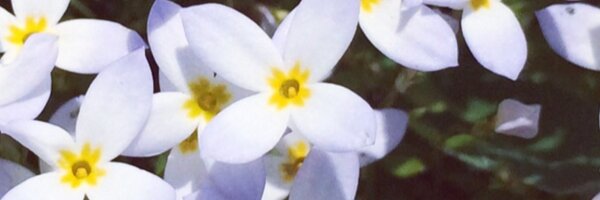 aimeehogan8 Profile Banner