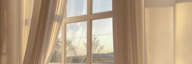 nala ➶ banner