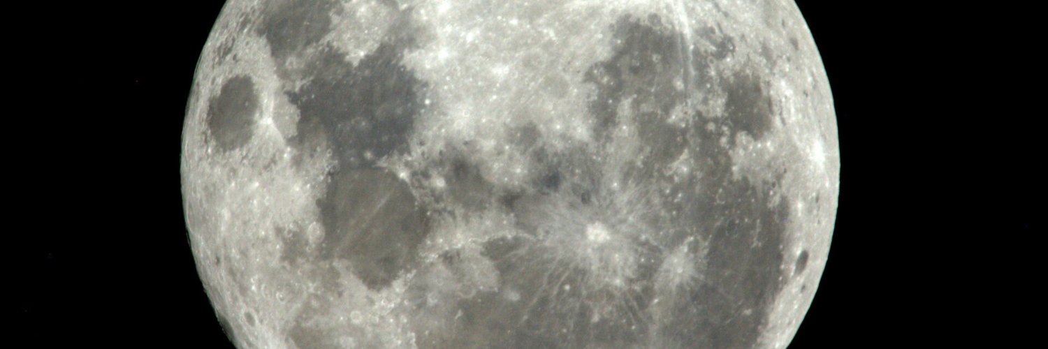 FLOKI Bitrik 🩸🩸🩸 banner