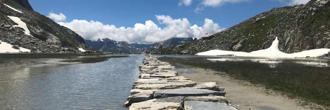 Mantine Miotto Pro banner