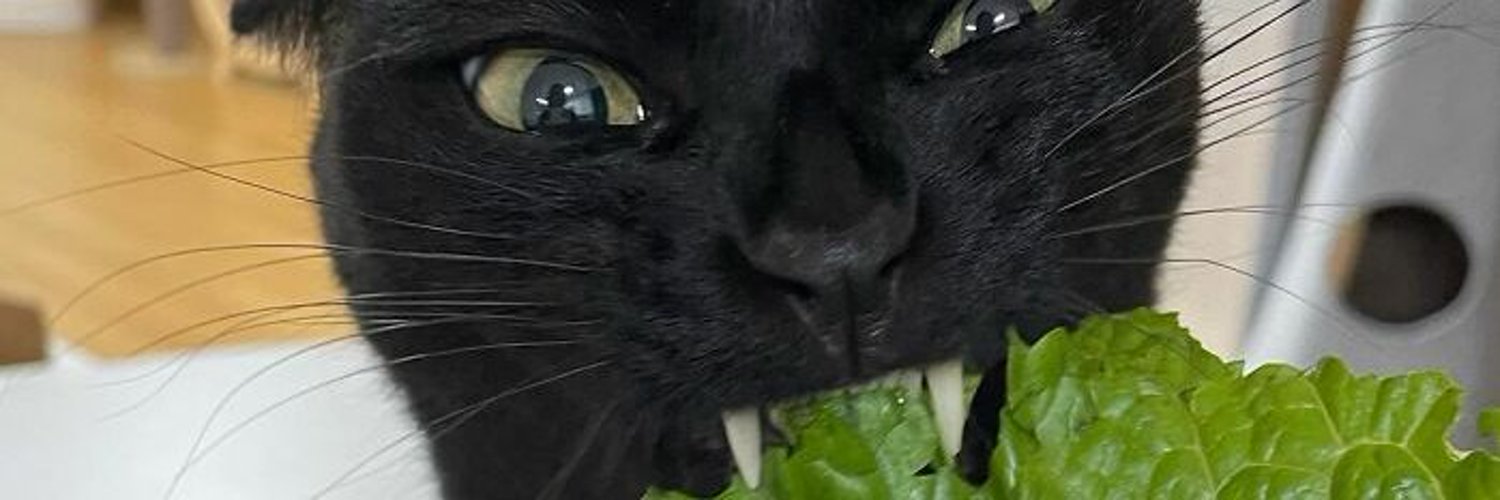 Oratoe the sniffster banner