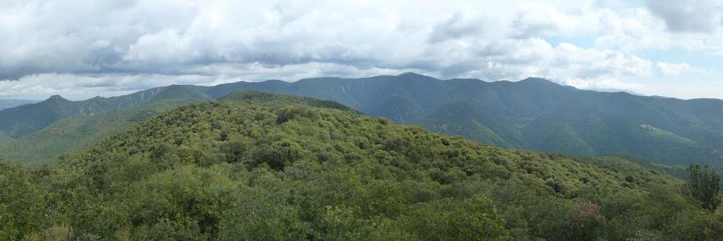 Trail de Vallforners banner