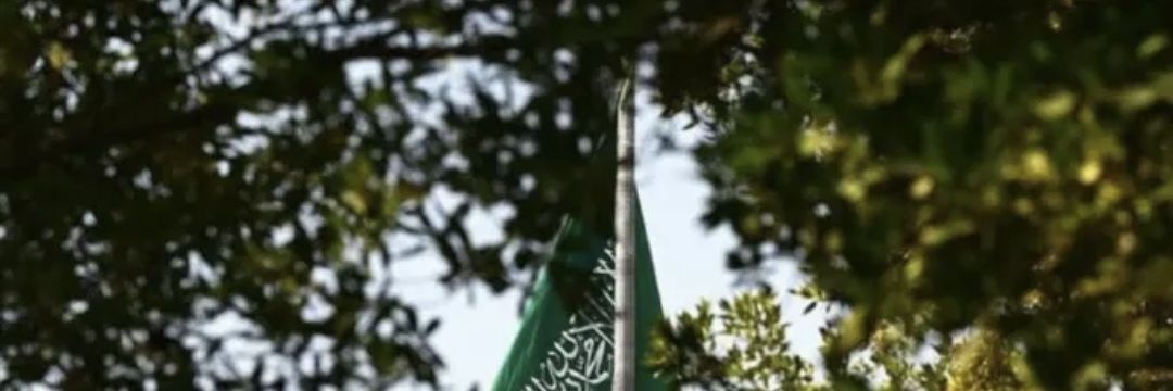 🌷قمررر🌷 banner