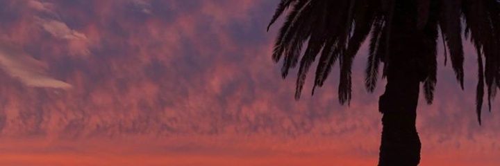 alba caro banner