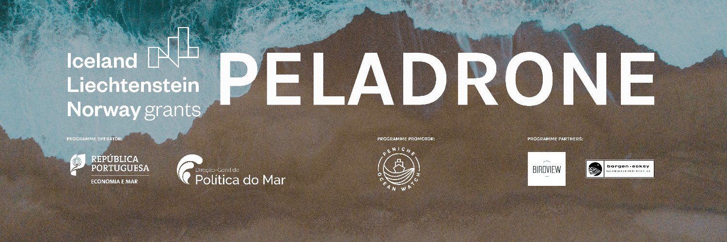 Peladrone banner