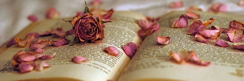 EmmaJessRose's profile banner image