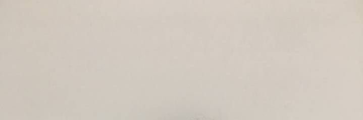 max banner