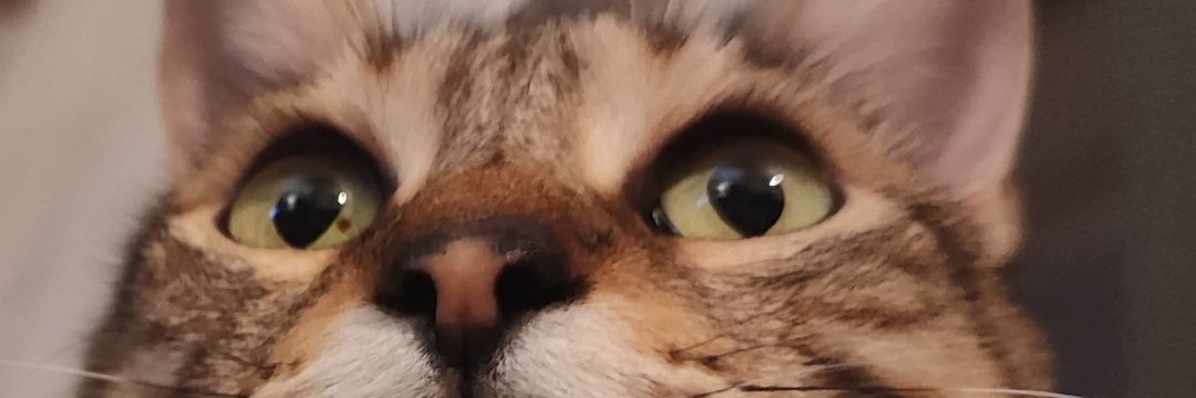 Gayealar8's profile banner image