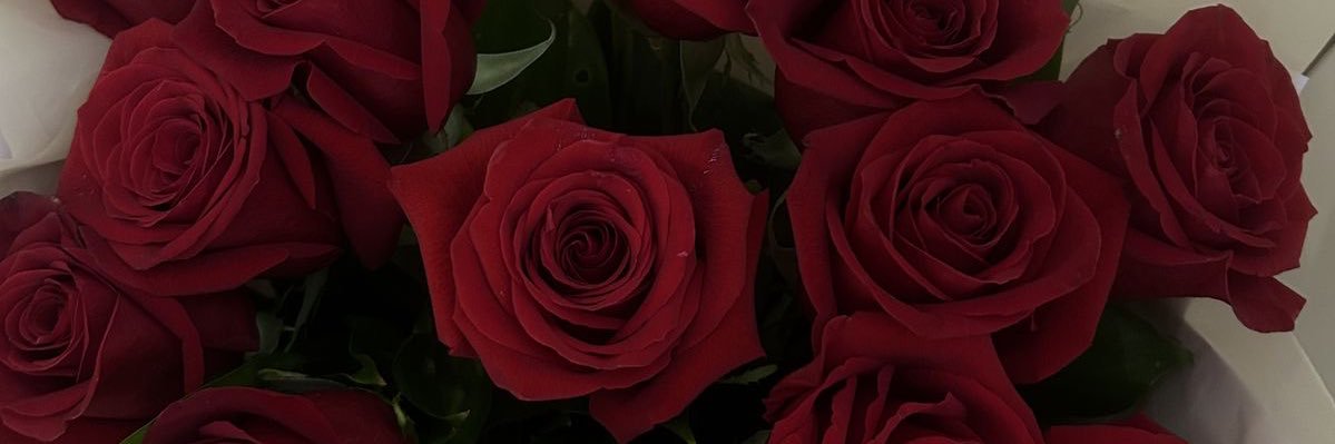 𝐓𝐇𝐄 𝐈𝐍𝐅𝐄𝐑𝐍𝐀𝐋 𝐓𝐈𝐆𝐄𝐑 banner