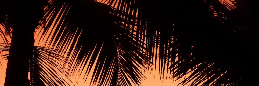 tylerdpierce's profile banner image