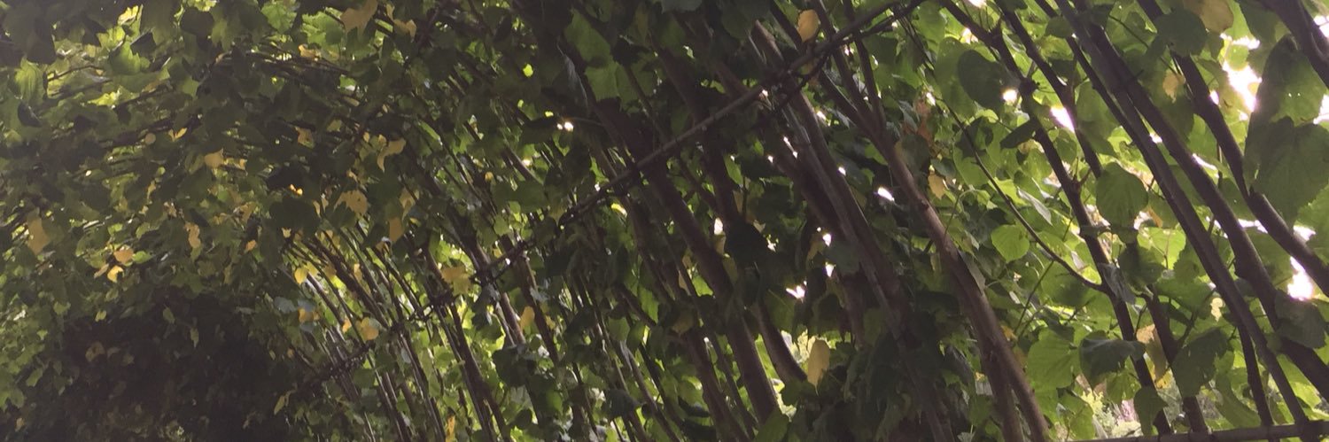 greygardens's profile banner image