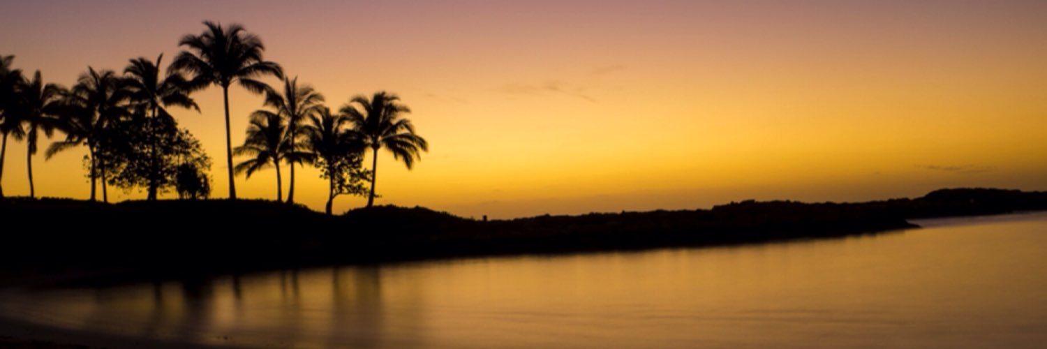ittybit_jfo's profile banner image