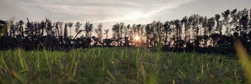 MDAhad1443's profile banner image