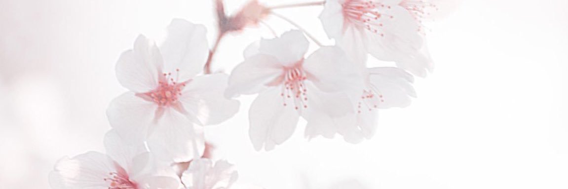 imoimooimo777's profile banner image