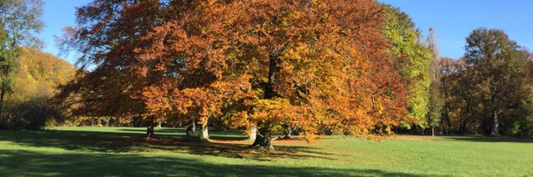 bgopkumar Profile Banner