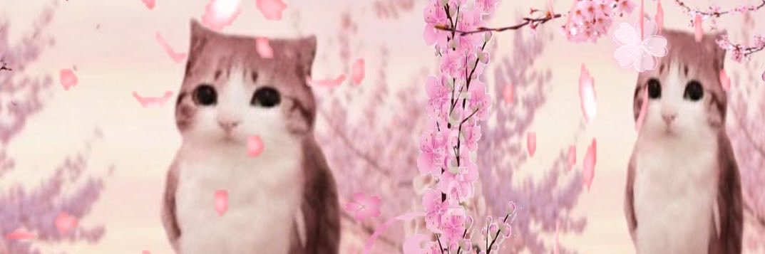 ntgcz's profile banner image