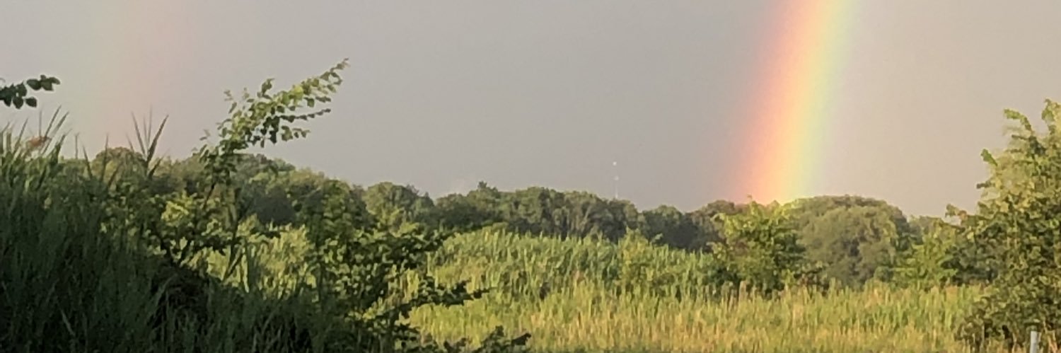 Trauma and Recovery Research Unit banner