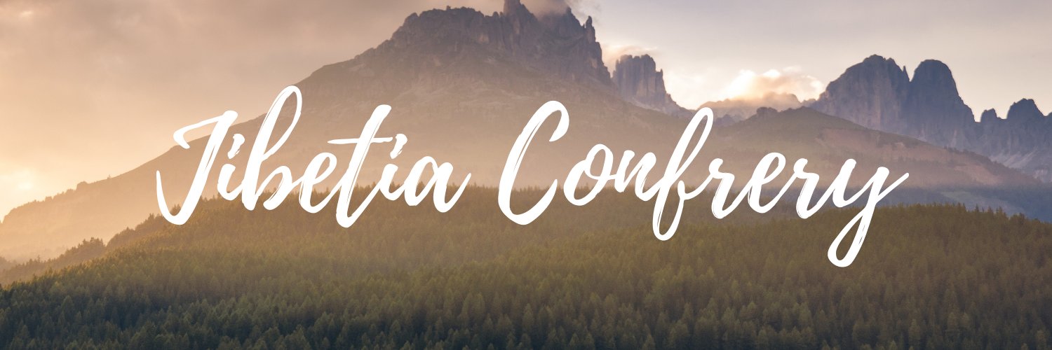 JibetiaC's profile banner image