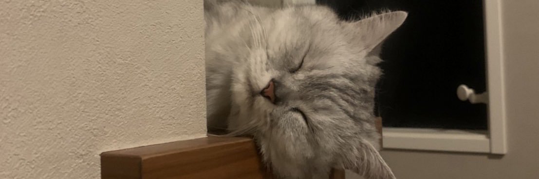 koogaga's profile banner image