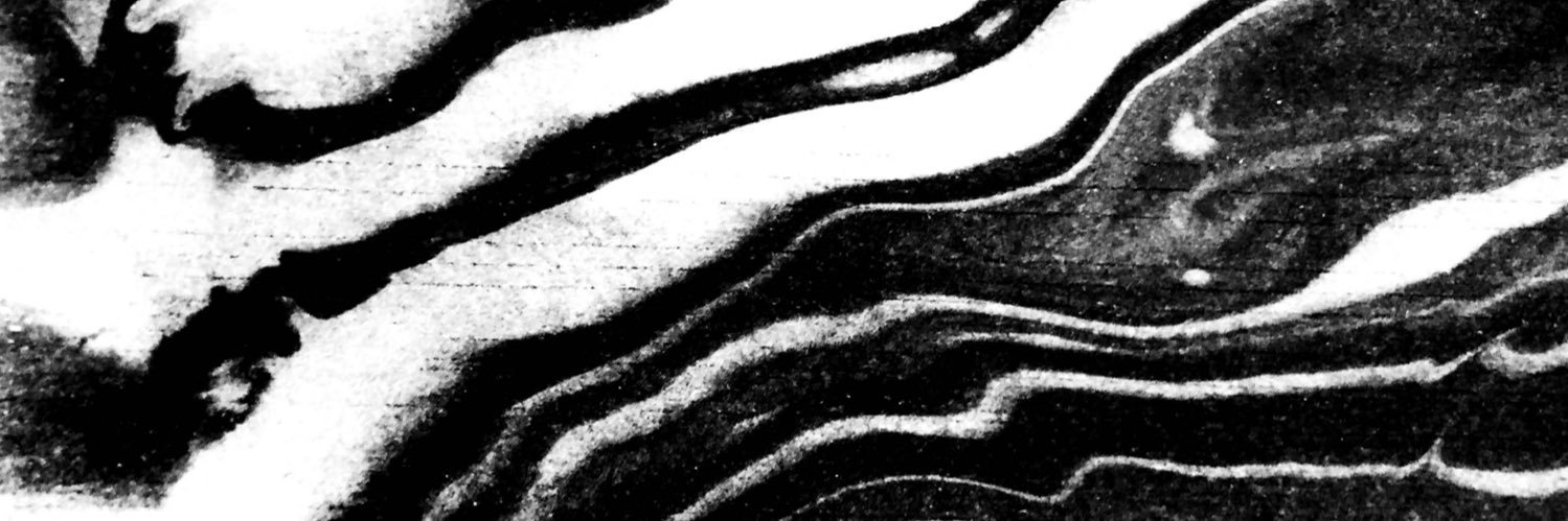 Black Prada banner