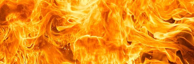 cryptocrawlerz.eth 🕷 banner