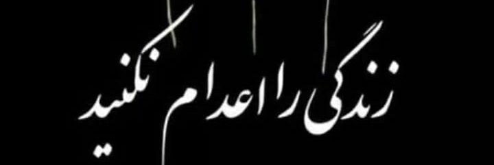 asgharshiri2's profile banner image